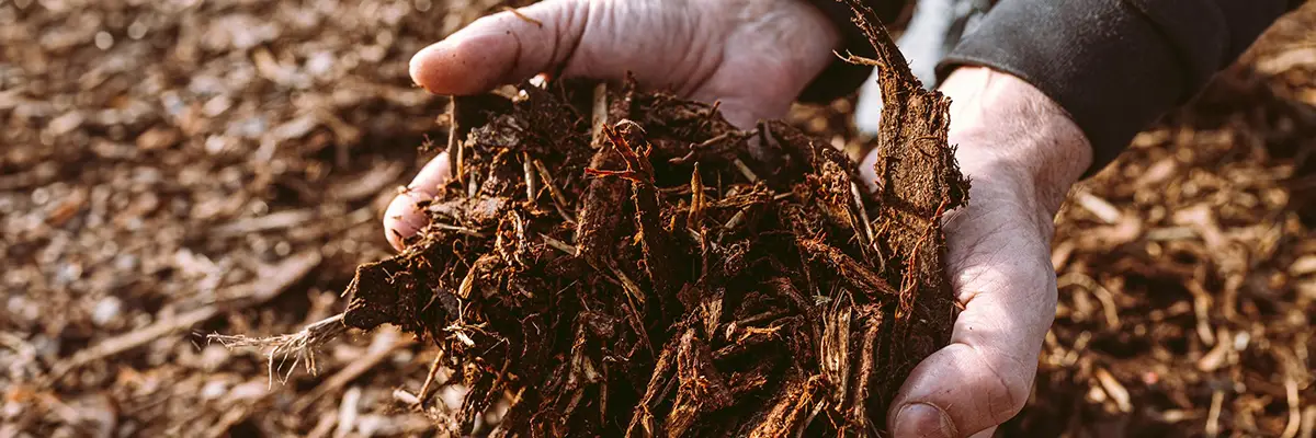 In What Form Should Fertilizers Be Applied?